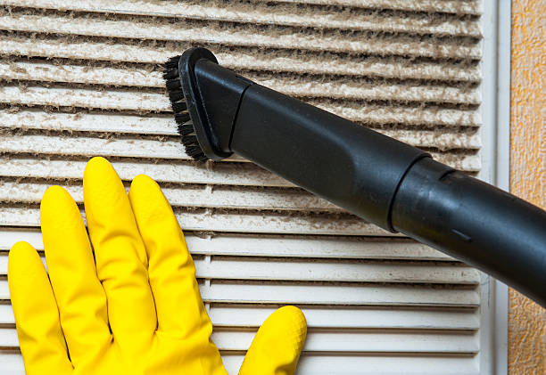 Professional Airduct Cleaning in Cohoe, AK